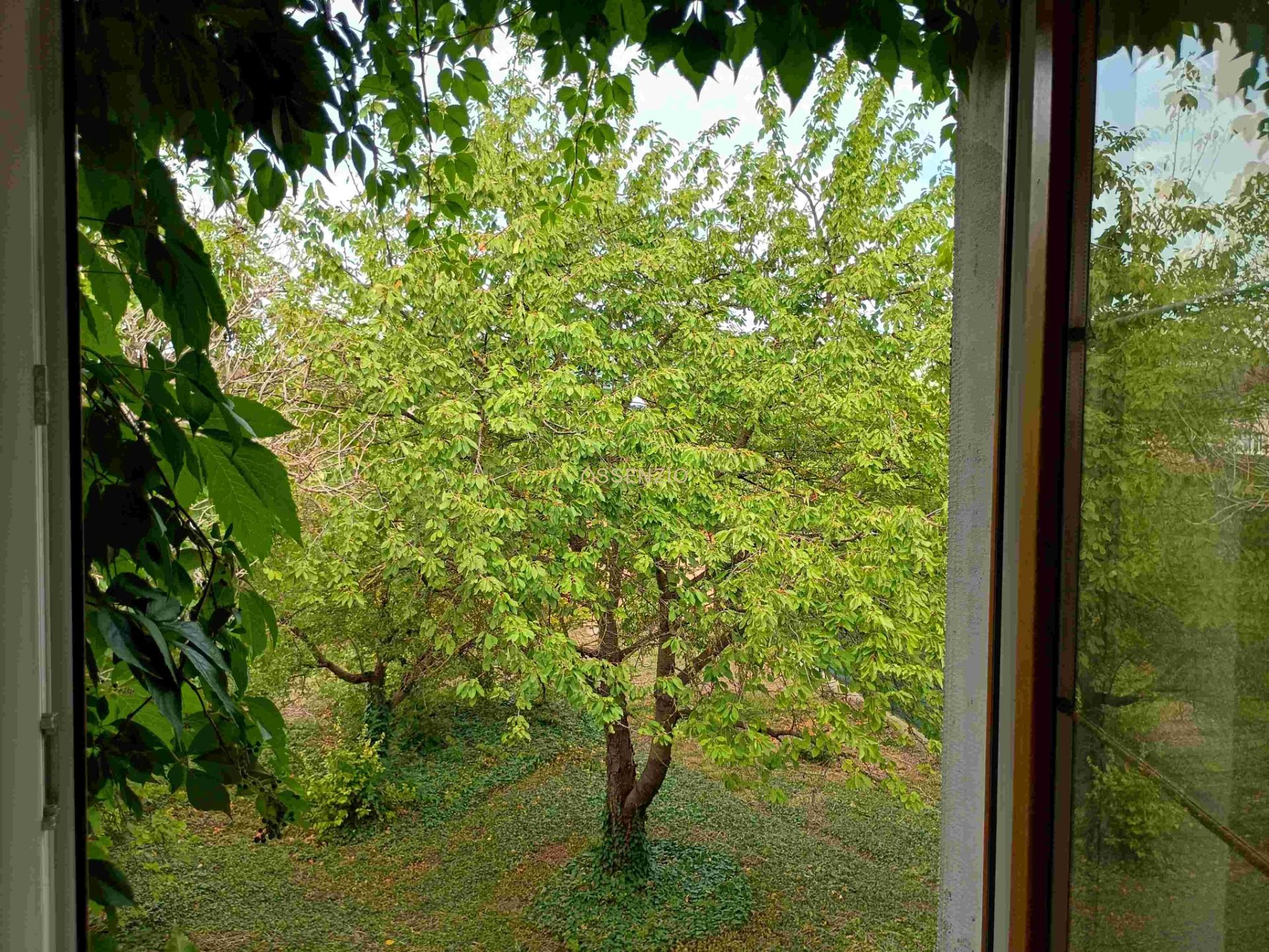 Sale Family house, Family house, Šuty, Bratislava - Vajnory, Slovakia
