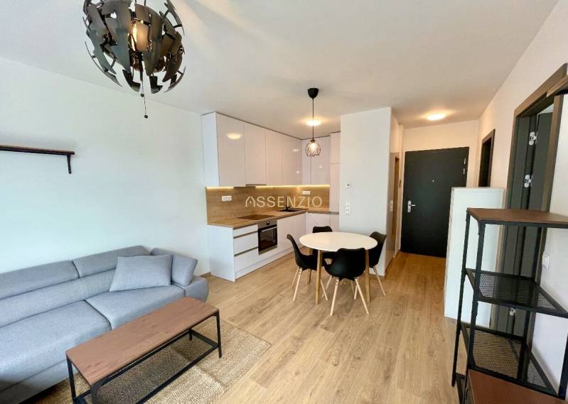 Rent One bedroom apartment, One bedroom apartment, Pri vojenskom cinto